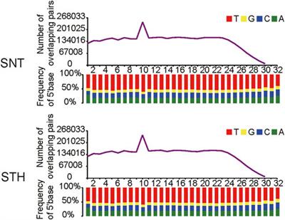 Characteristics of piRNAs and their comparative profiling in testes of sheep with different fertility